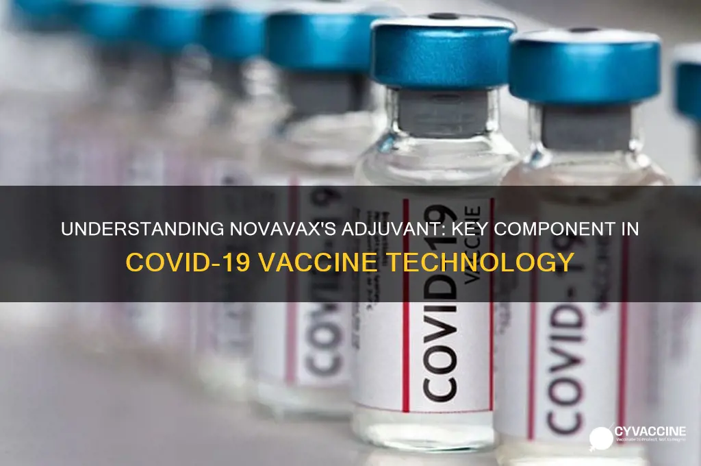 what is the adjuvant in the novavax vaccine