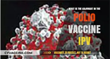 Understanding the Role of Adjuvants in the IPV Polio Vaccine