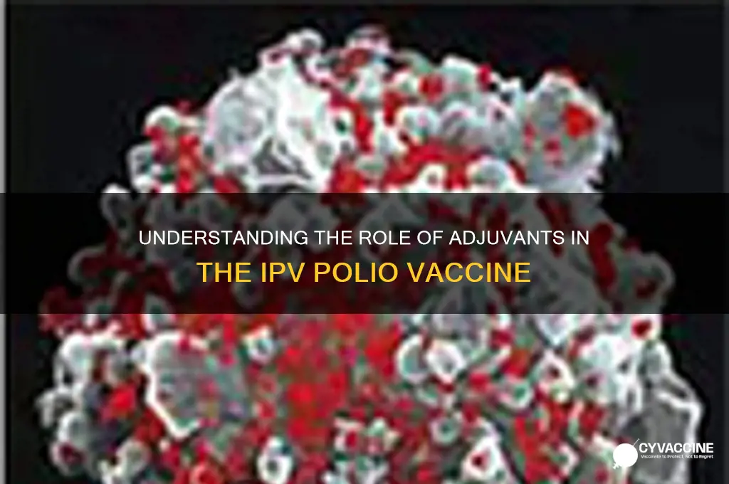 what is the adjuvant in the polio vaccine ipv