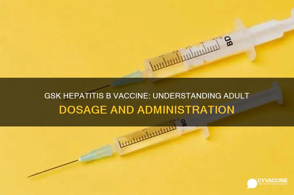 what is the adult dosage for gsk hep b vaccine