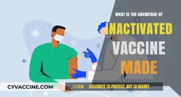 Advantages of Inactivated Vaccines: Safety, Stability, and Long-Lasting Immunity
