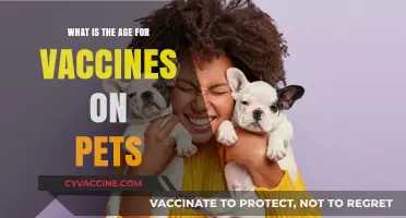 Pet Vaccination Age Guide: When to Start Protecting Your Furry Friend