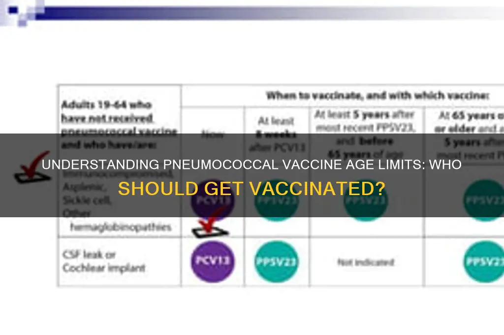 what is the age limit for pneumococcal vaccine