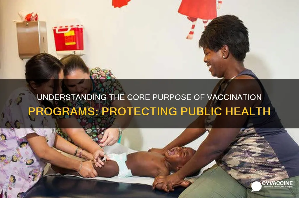what is the aim of a vaccination programme