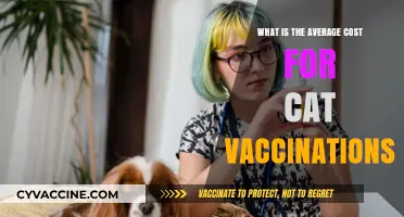 Understanding the Average Cost of Cat Vaccinations: A Pet Owner's Guide