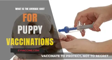 Understanding Puppy Vaccination Costs: Average Expenses for Pet Owners