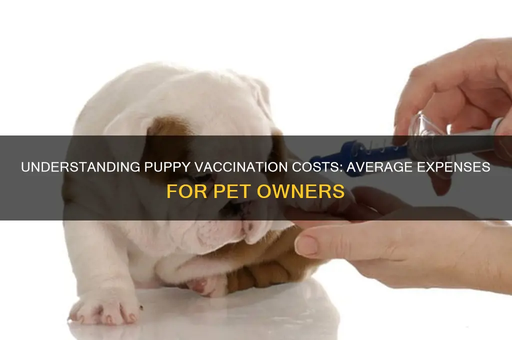what is the average cost for puppy vaccinations