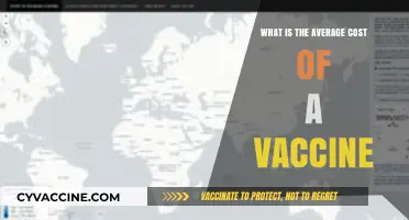 Understanding the Average Cost of Vaccines: A Comprehensive Guide