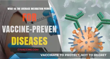 Understanding Incubation Periods for Common Vaccine-Preventable Diseases