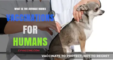 Understanding Average Rabies Vaccination Rates for Humans Worldwide