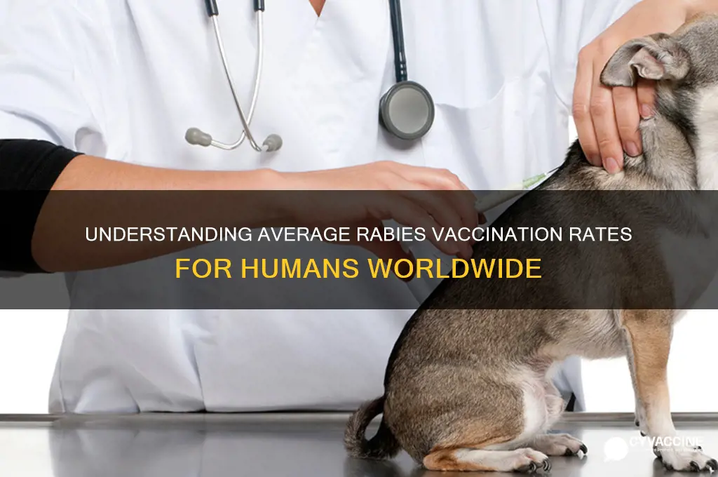 what is the average rabies vaccinations for humans