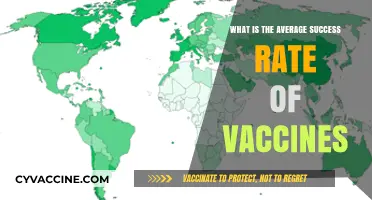 Understanding Vaccine Success Rates: A Comprehensive Overview of Effectiveness