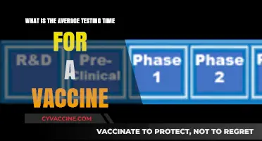 Understanding the Typical Timeline for Vaccine Testing and Approval