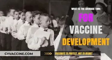 Understanding the Typical Timeline for Developing Vaccines: A Comprehensive Overview