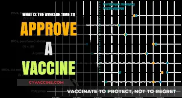 Understanding the Typical Timeline for Vaccine Approval Processes