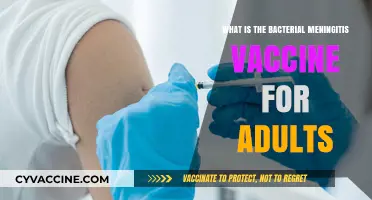 Adult Bacterial Meningitis Vaccine: Protection, Purpose, and Importance Explained