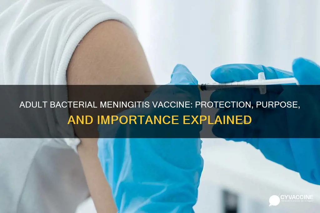 what is the bacterial meningitis vaccine for adults