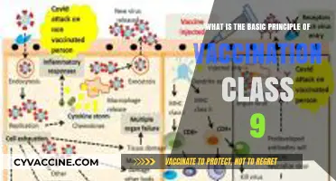 Understanding Vaccination: The Basic Principle Explained for Class 9 Students