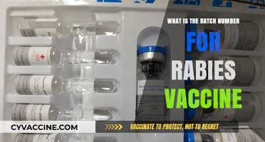 Understanding Rabies Vaccine Batch Numbers: Importance and Identification Guide