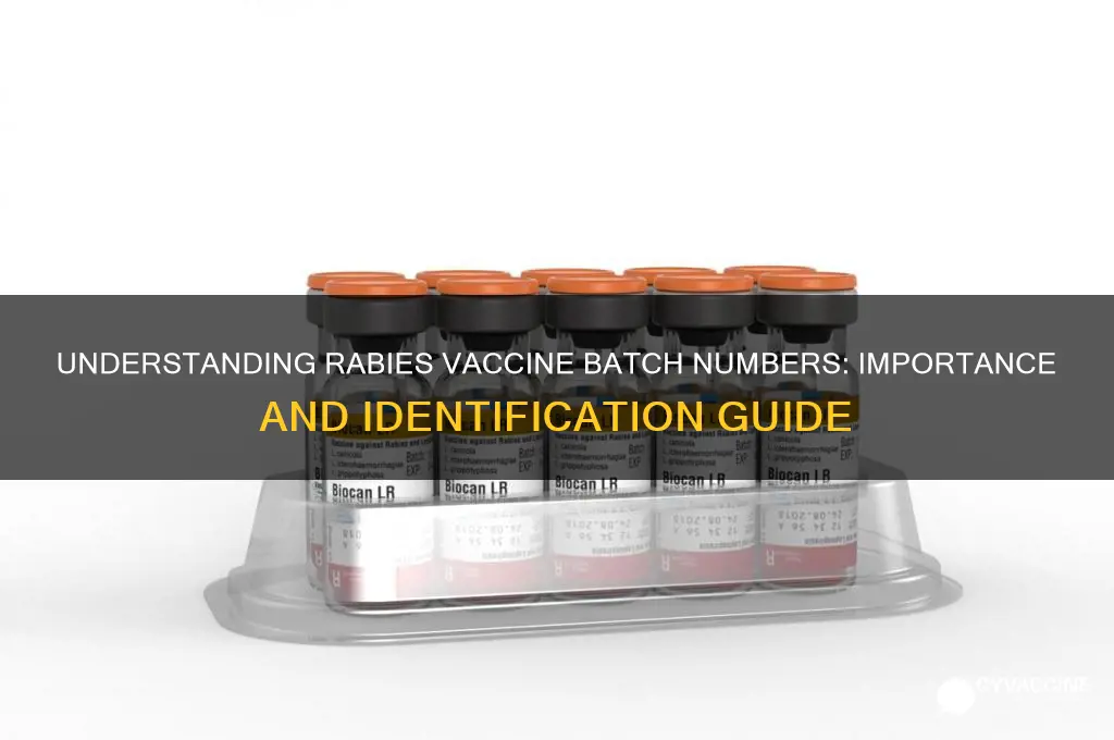what is the batch number for rabies vaccine
