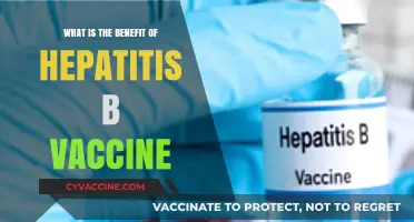 Hepatitis B Vaccine Benefits: Protecting Your Health and Preventing Liver Disease