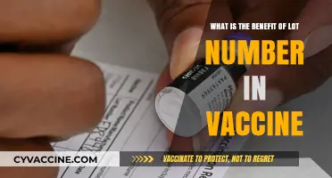 Lot Numbers in Vaccines: Ensuring Safety, Traceability, and Quality Control