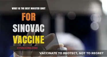Best Booster Options for Sinovac Vaccine: Expert Recommendations and Insights