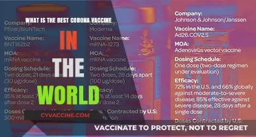 Top COVID-19 Vaccines Compared: Which One Offers the Best Protection?