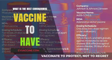 Choosing the Right COVID-19 Vaccine: A Comprehensive Guide for You