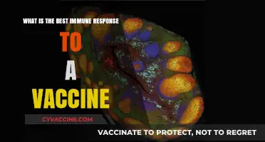 Optimal Immune Response: Unlocking Vaccine Efficacy and Long-Term Protection