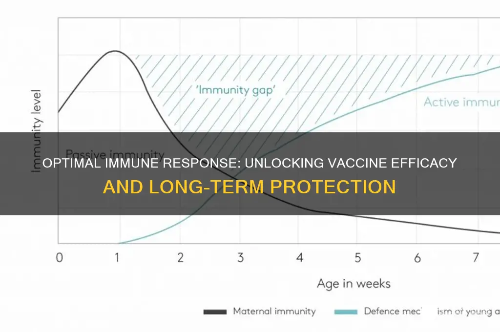 what is the best immune response to a vaccine