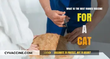Top Rabies Vaccines for Cats: Safety, Effectiveness, and Recommendations