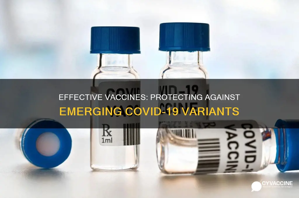 what is the best vaccine against the variants
