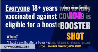 Choosing the Optimal Booster Shot: Which Vaccine Offers the Best Protection?