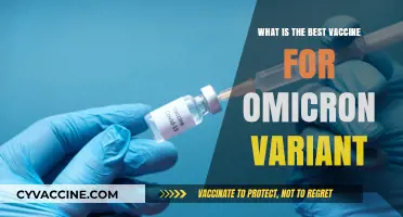 Effective Omicron Vaccines: Which Shot Offers Optimal Protection?