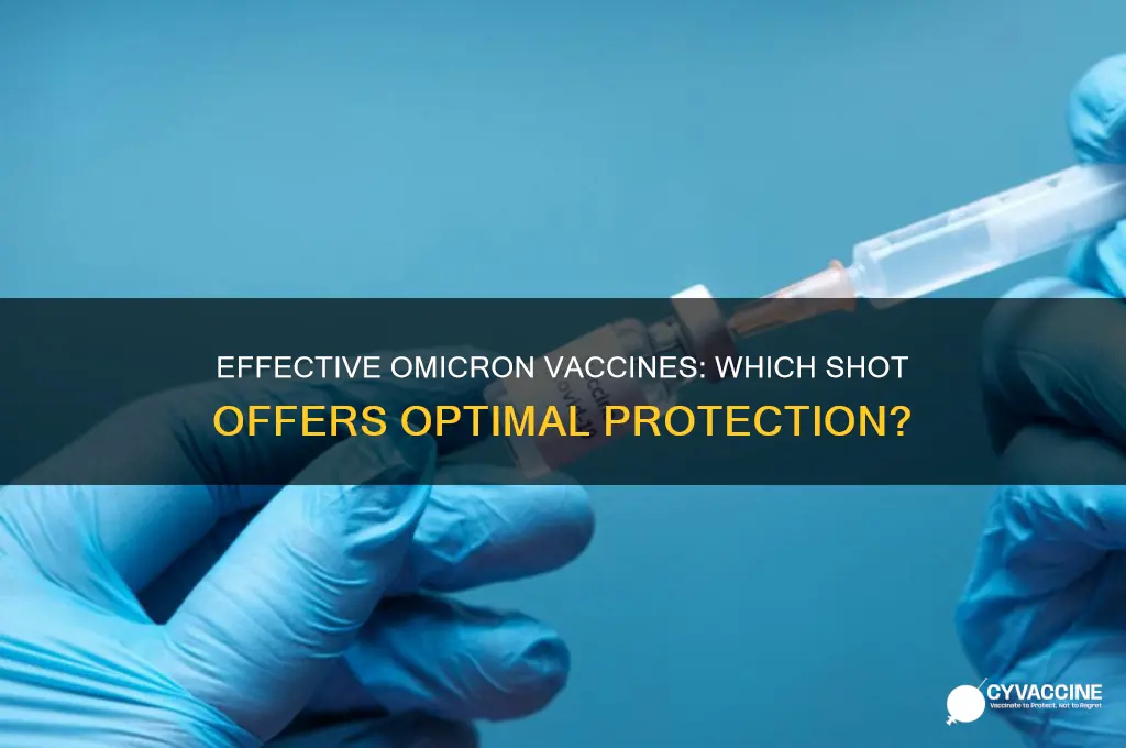 what is the best vaccine for omicron variant