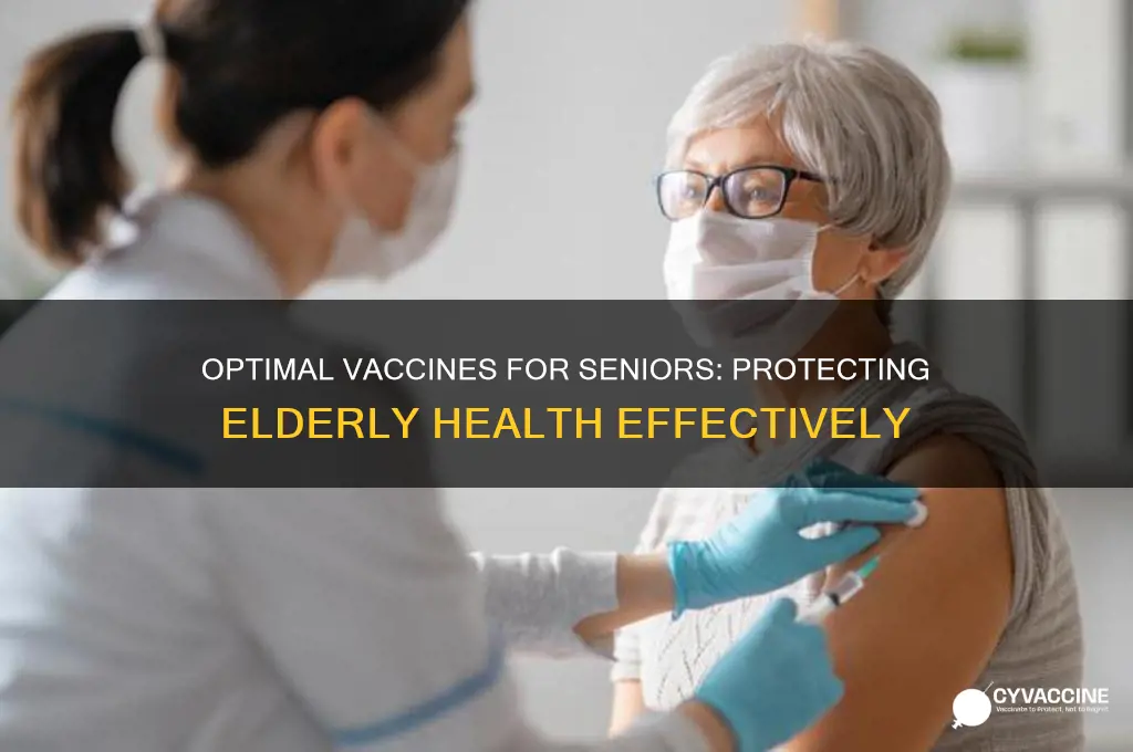 what is the best vaccine for the elderly