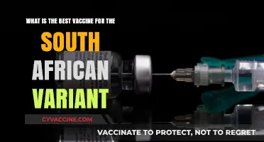 Best Vaccine Options for South African COVID-19 Variant: Expert Insights