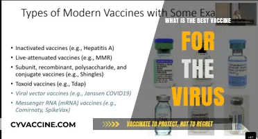 Choosing the Right Vaccine: A Comprehensive Guide to Virus Protection