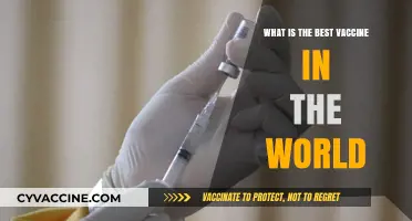 Exploring the World's Most Effective and Life-Saving Vaccine