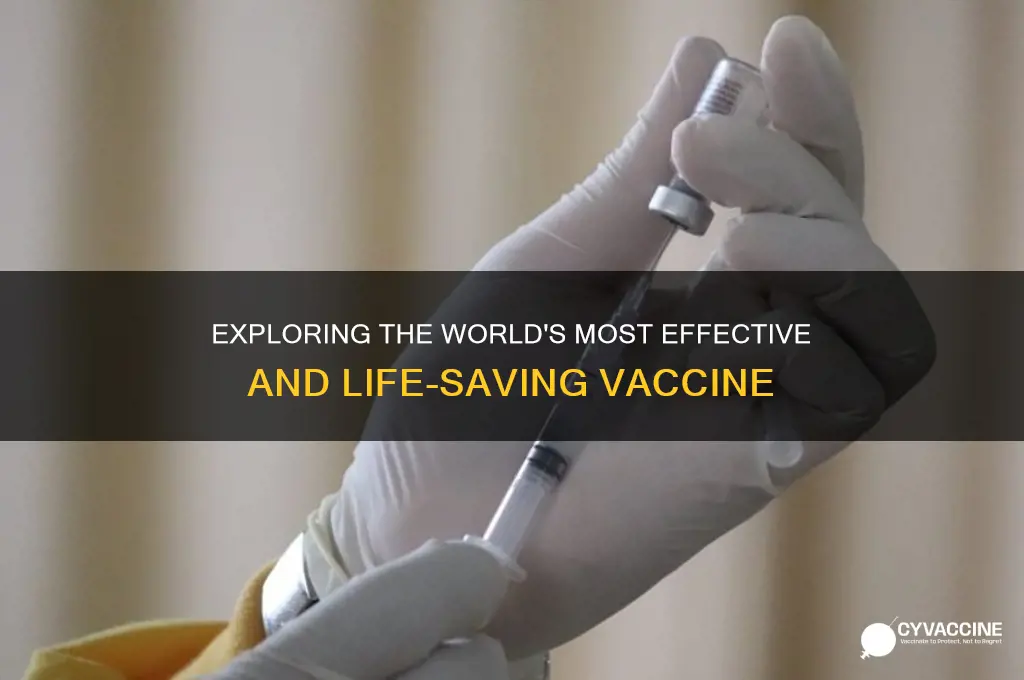 what is the best vaccine in the world