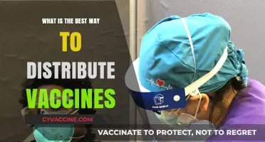 Efficient Vaccine Distribution Strategies for Global Health Equity and Access