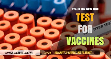 Understanding Blood Titer Tests: Vaccine Immunity and Antibody Levels Explained