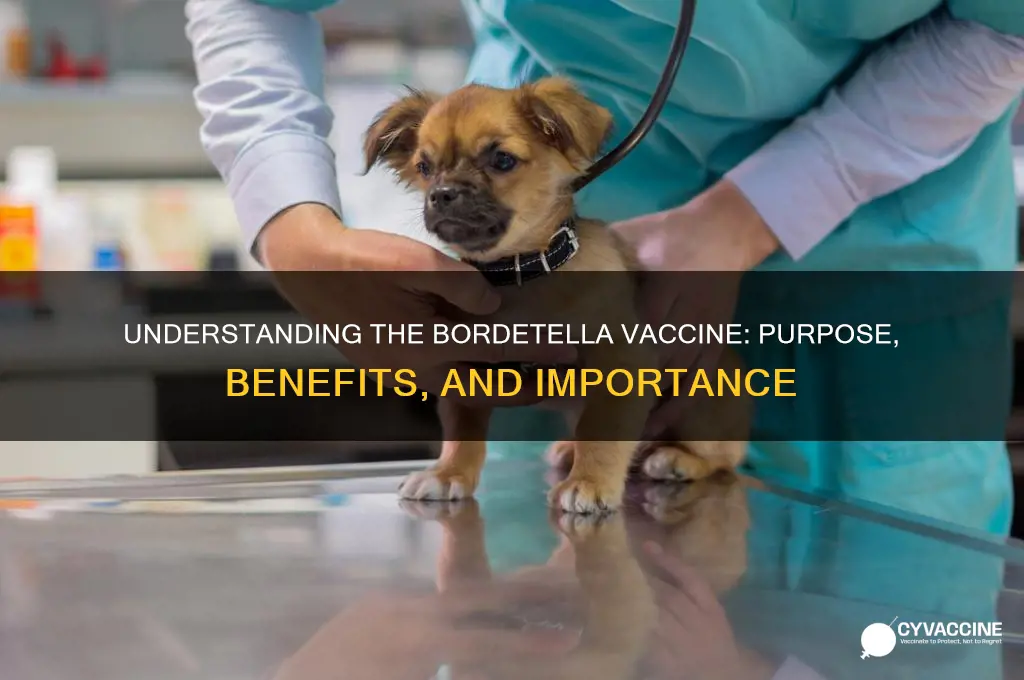 what is the bordetella vaccine for