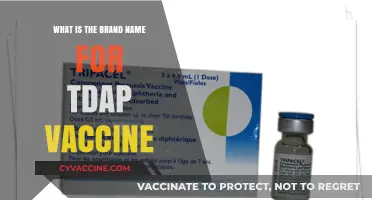 Understanding Tdap: Brand Names and Essential Vaccine Information