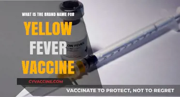 Discover the Brand Name for the Yellow Fever Vaccine Today