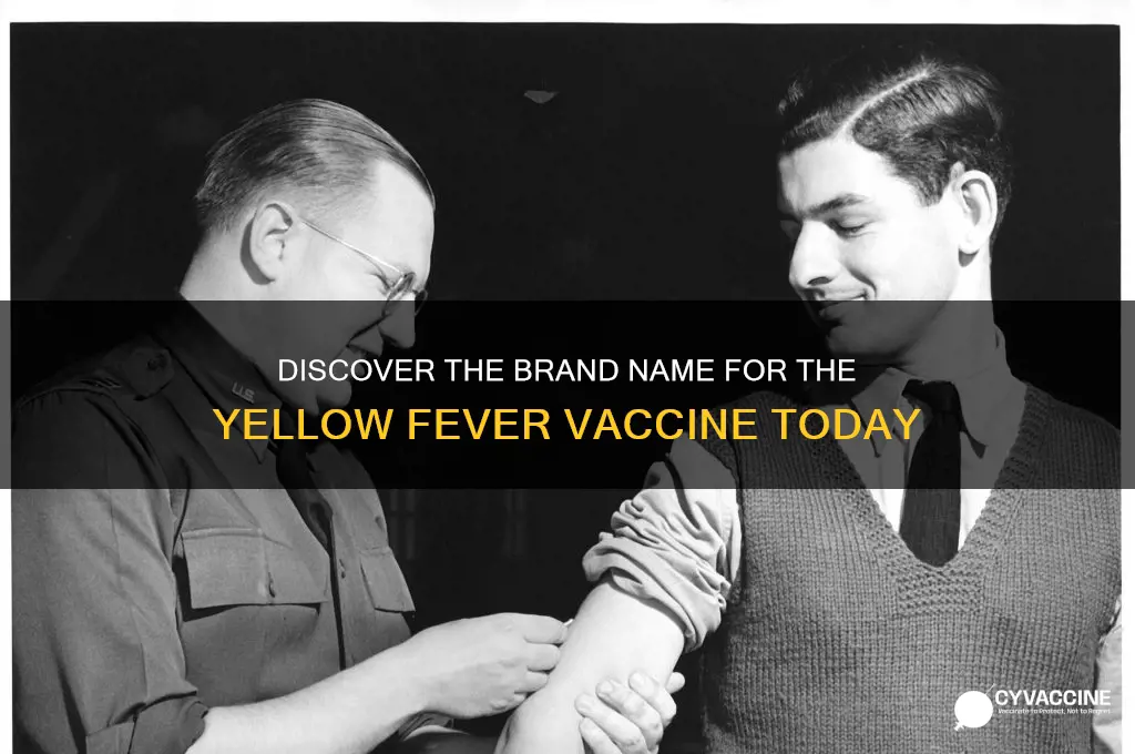 what is the brand name for yellow fever vaccine