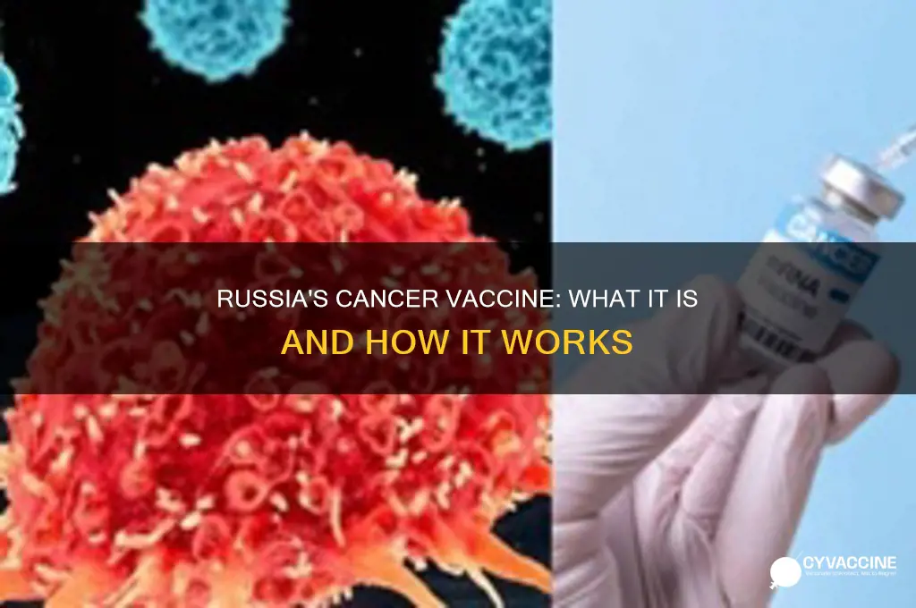 what is the cancer vaccine russia is offering