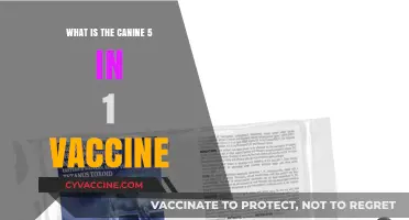 Understanding the Canine 5-in-1 Vaccine: Essential Protection for Your Dog