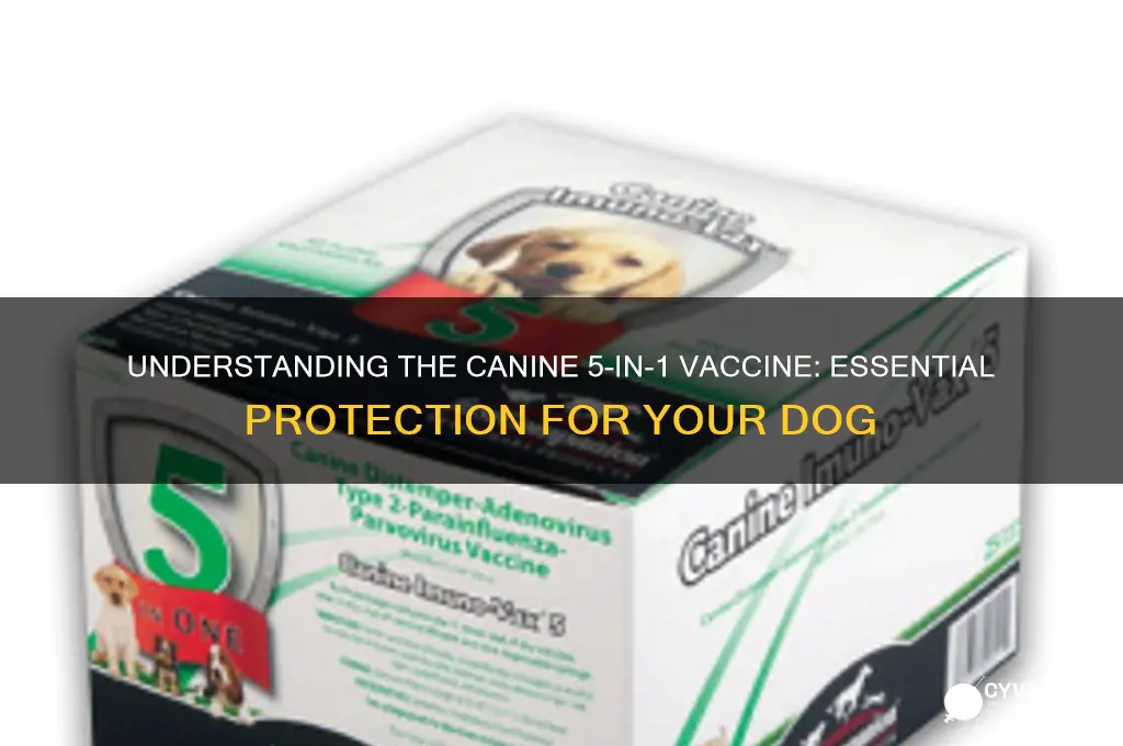 what is the canine 5 in 1 vaccine